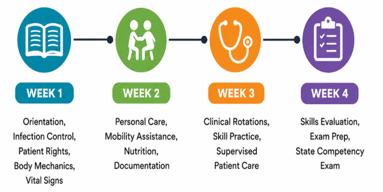 4-week CNA training timeline with key milestones